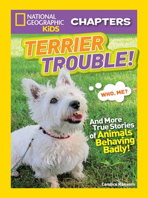 cover image of Terrier Trouble!